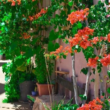 Apartment Home Suites Hersonissos (Crete)